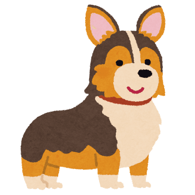 playground-dog